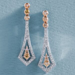 Pave Setting Earring